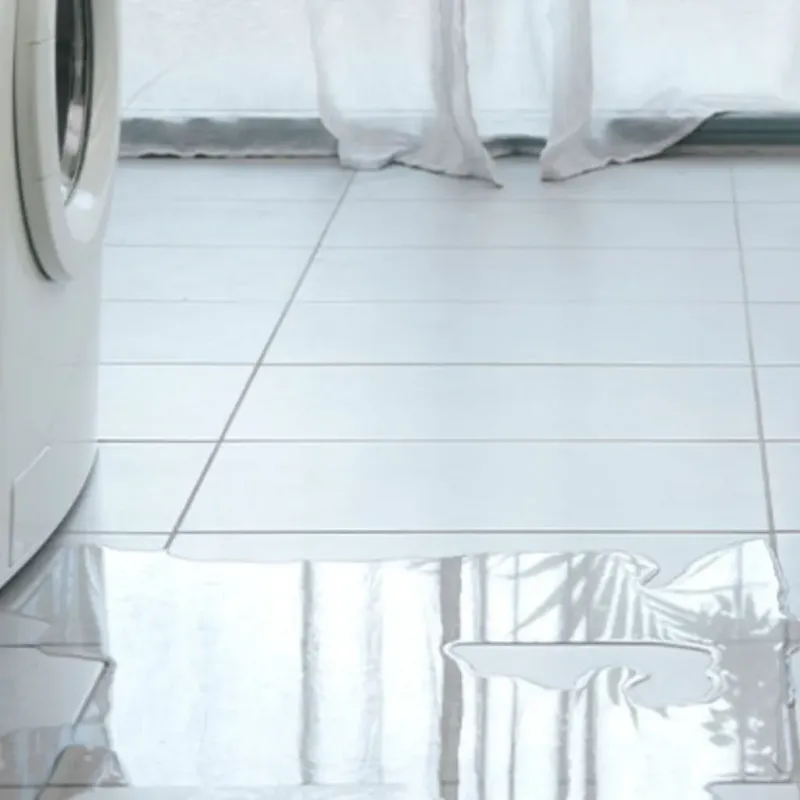 Appliance Leak Cleanup in Sterling, MA