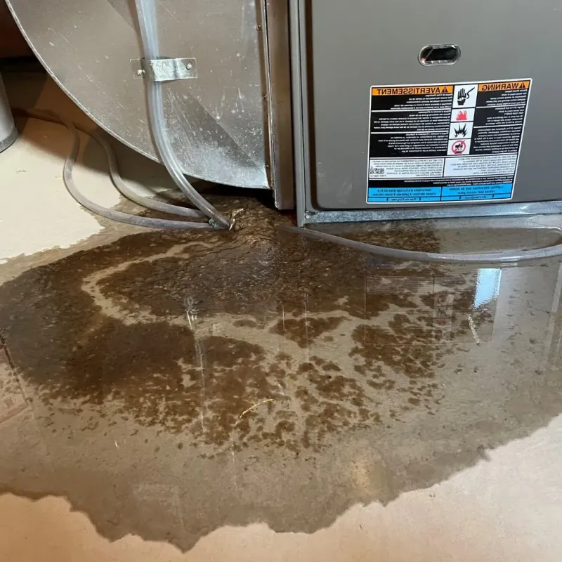 Pipe Burst and Leak Restoration in Sterling, MA