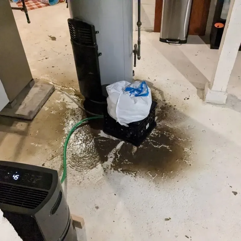 Sewage Backup Cleanup Service in Sterling, MA